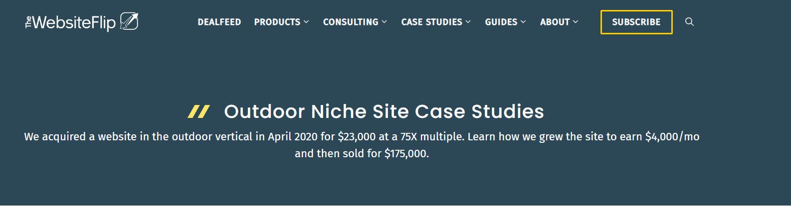 Buying Established Websites vs Building Case Studies and Success Stories
